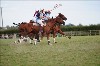 UKPA  NC Sat_1598